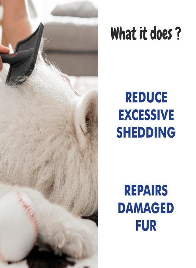 هارودز شامبو بي إس سي إل واي كيراتين بلس للحيوانات الأليفة | شامبو آمن للجراء - الوقاية من القراد والبراغيث، غني بالألوة وزيت جوز الهند، شامبو متوازن الحموضة للكلاب - شامبو للحيوانات الأليفة (300 مل) - Image 4